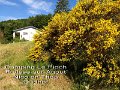 218 foto MVervoorn 2019-06-18 10.12.09
